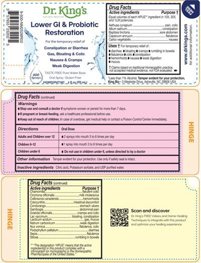 Lower Gi &amp; Probiotic Restoration.jpg (Lower Gi   Probiotic Restoration)